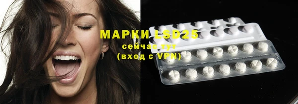 гашиш Богданович
