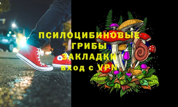 ГАЛЛЮЦИНОГЕННЫЕ ГРИБЫ Богородицк