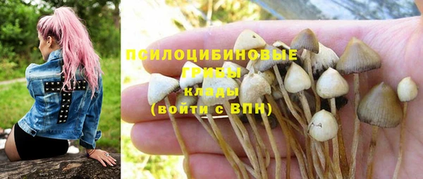 мет Богородск
