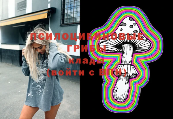 ГАЛЛЮЦИНОГЕННЫЕ ГРИБЫ Богородицк