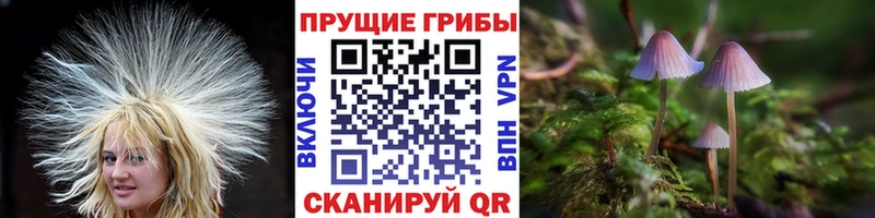 Галлюциногенные грибы прущие грибы Южно-Сахалинск
