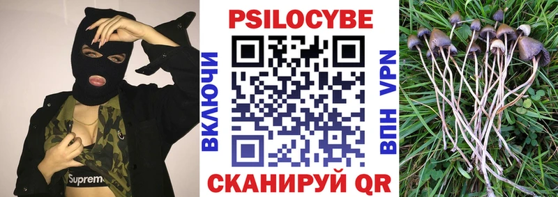 Псилоцибиновые грибы прущие грибы  купить закладку  Южно-Сахалинск 